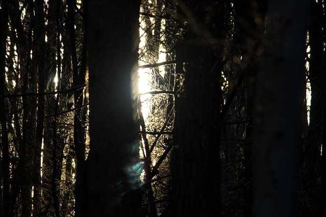 Wetter-Bild (Foto: Gernot Thelemann) Wetter-Bild (Foto: Gernot Thelemann)