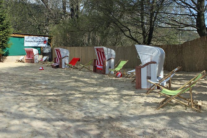 Aufgetaucht sind alle wieder! (Foto: Karl-Heinz Herrmann)