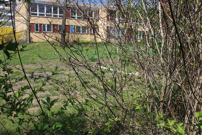 Bereits 10. Baumfest in Sondershausen (Foto: Karl-Heinz Herrmann) Bereits 10. Baumfest in Sondershausen (Foto: Karl-Heinz Herrmann)