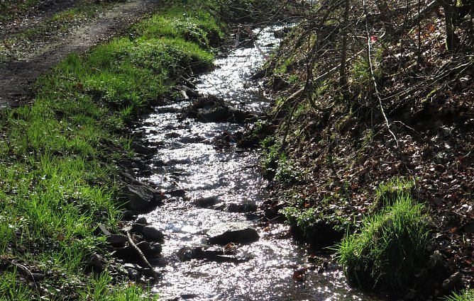 Am Braunsteinhaus (Foto: nnz) Am Braunsteinhaus (Foto: nnz)