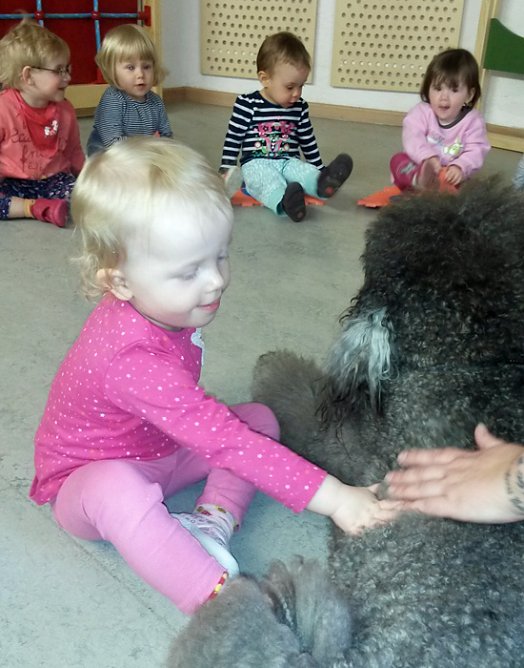 Hunde in der Kindervilla (Foto: Kindervilla Bad Frankenhausen) Hunde in der Kindervilla (Foto: Kindervilla Bad Frankenhausen)