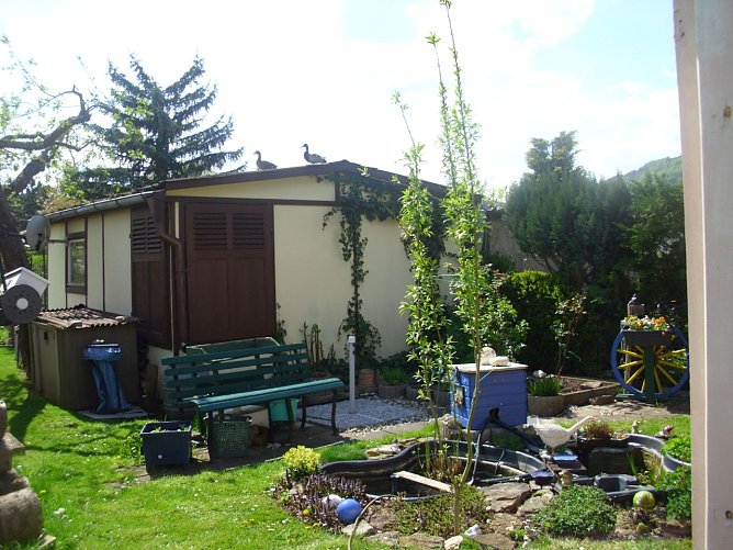 Auf Besuch eingestellt (Foto: Thomas Leipold)