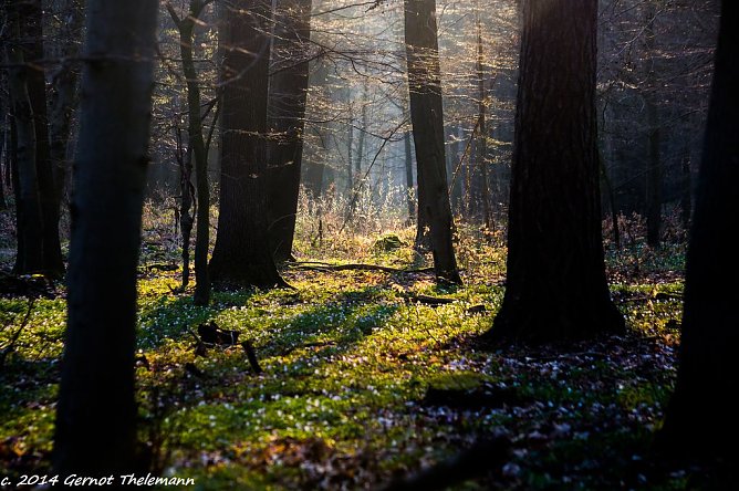Wetterbild (Foto: Gernot Thelemann)
