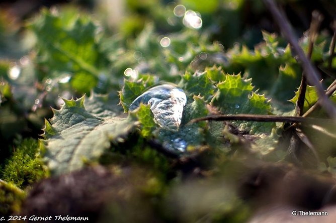 Wetter-Bild (Foto: Gernot Thelemann) Wetter-Bild (Foto: Gernot Thelemann)