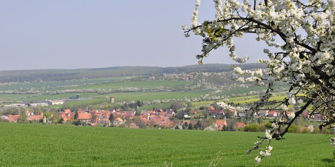 Tourismus-Workshop Hohe Schrecke (Foto: Regionalmanagement Hohe Schrecke)