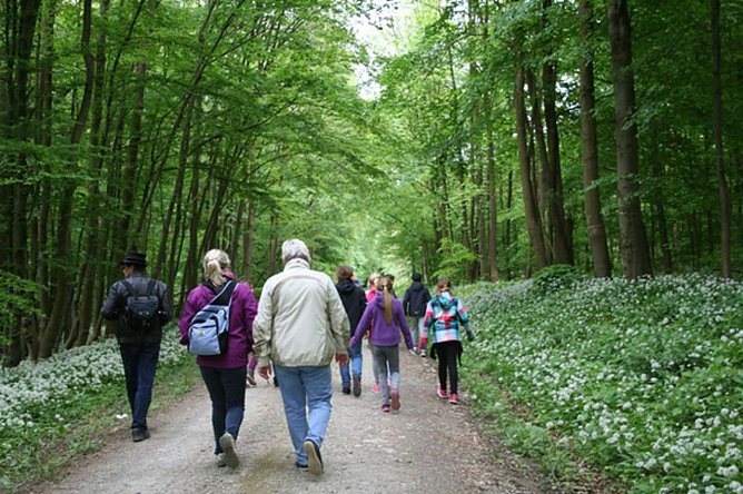 Abschlussfahrt der 4. Klasse der GS Keula (Foto: Die Fotos wurden von den Sch&uuml;lern und Veith Vollbrecht angefertigt.)