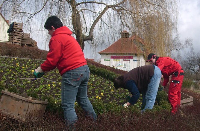 Blumenpflanzung (Foto: Karl-Heinz Herrmann)