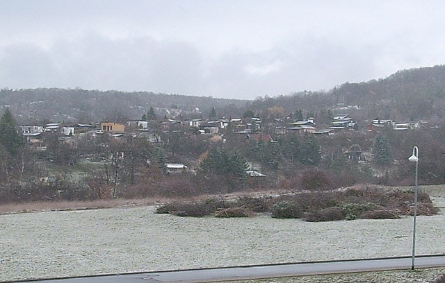 Blumenpflanzung (Foto: Karl-Heinz Herrmann)