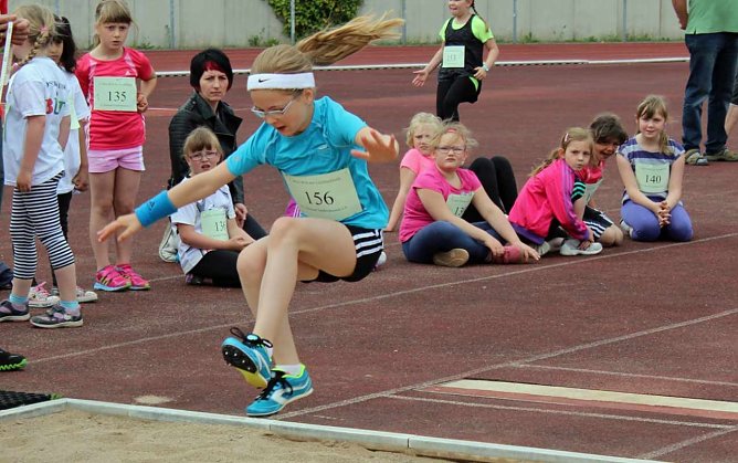 Ergebnisse der 5. Mini-WM (Foto: Karl-Heinz Herrmann) Ergebnisse der 5. Mini-WM (Foto: Karl-Heinz Herrmann)