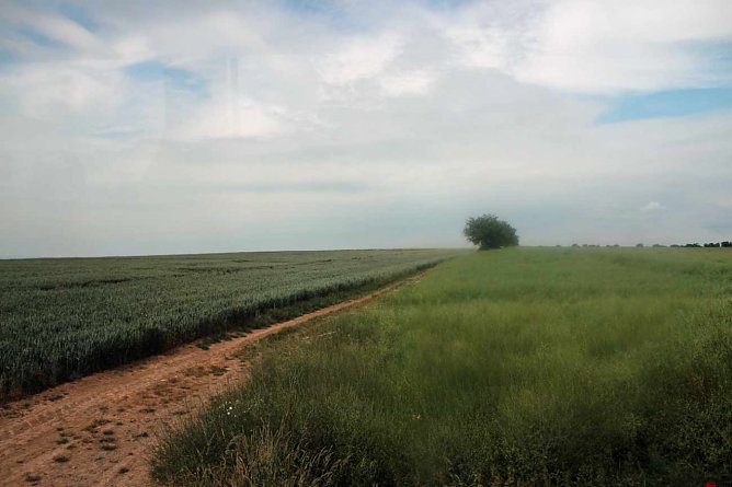 Kritik an geplanten Windrädern (Foto: Karl-Heinz Herrmann) Kritik an geplanten Windrädern (Foto: Karl-Heinz Herrmann)