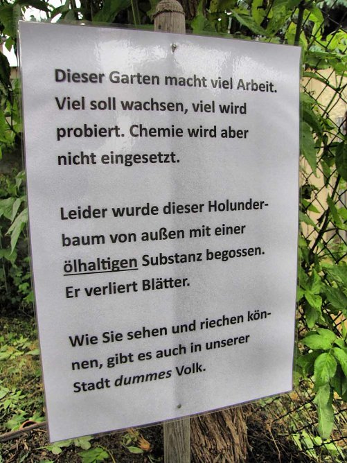 Forum: Mensch und Dummheit in der Paarungszeit (Foto: Andreas Zeidler) Forum: Mensch und Dummheit in der Paarungszeit (Foto: Andreas Zeidler)