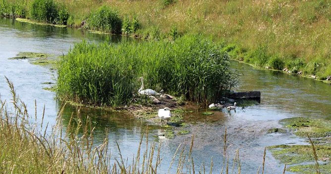 Autofahrer aufgepasst (Foto: Karl-Heinz Herrmann) Autofahrer aufgepasst (Foto: Karl-Heinz Herrmann)
