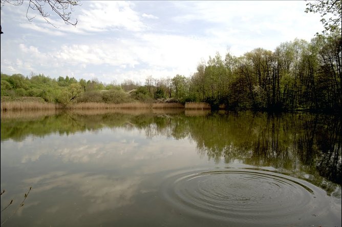Pontelteich bei Ellrich (Foto: Gernot Thelemann) Pontelteich bei Ellrich (Foto: Gernot Thelemann)