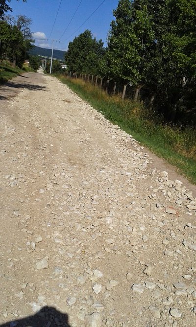 Rund um Sondershausen meiden (Foto: Privat) Rund um Sondershausen meiden (Foto: Privat)