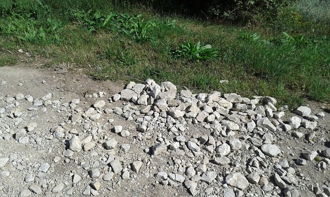 Rund um Sondershausen meiden (Foto: Privat) Rund um Sondershausen meiden (Foto: Privat)