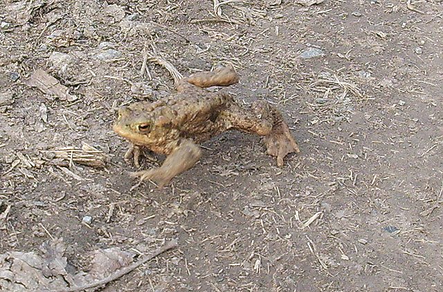 Wanderer unterwegs (Foto: Karl-Heinz Herrmann)
