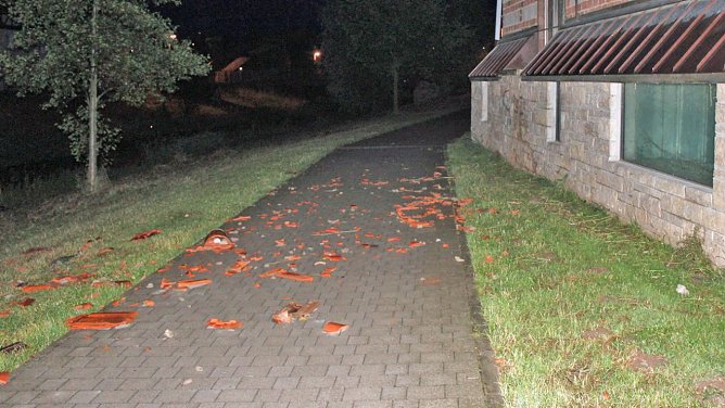 Vorsicht bei Waldspaziergängen (Foto: Karl-Heinz Herrmann) Vorsicht bei Waldspaziergängen (Foto: Karl-Heinz Herrmann)