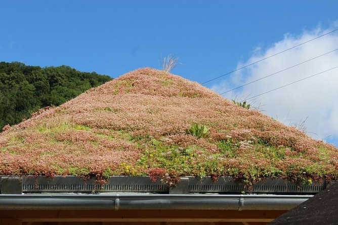 Informationspunkt für Touristen übergeben (Foto: Karl-Heinz Herrmann) Informationspunkt für Touristen übergeben (Foto: Karl-Heinz Herrmann)