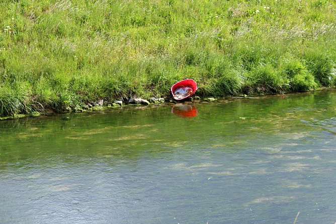 Nicht viel Neues? (Foto: Karl-Heinz Herrmann) Nicht viel Neues? (Foto: Karl-Heinz Herrmann)