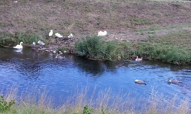 Nicht viel Neues? (Foto: Karl-Heinz Herrmann) Nicht viel Neues? (Foto: Karl-Heinz Herrmann)