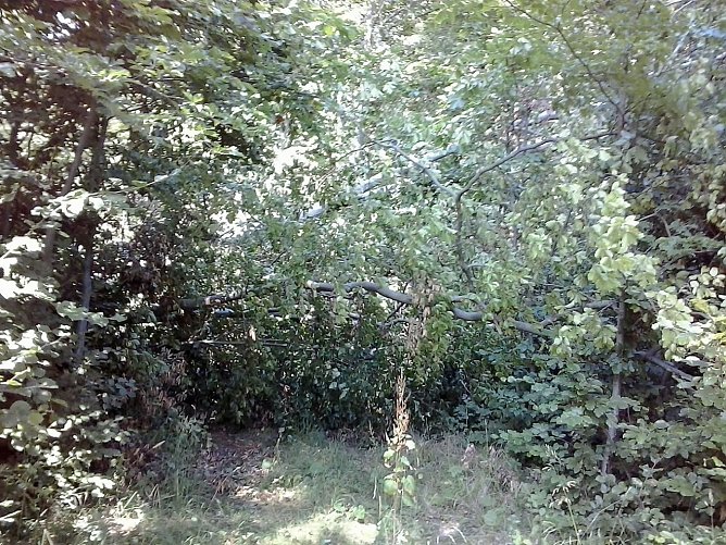 Gesperrte und unpassierbare Wanderwege (Foto: Karl-Heinz Herrmann) Gesperrte und unpassierbare Wanderwege (Foto: Karl-Heinz Herrmann)