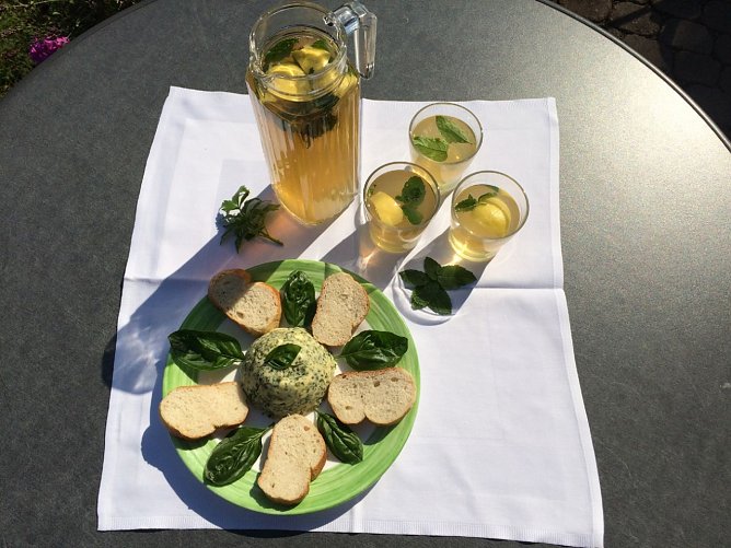 Erfrischende Abkühlung im Schlosspark (Foto: Privat) Erfrischende Abkühlung im Schlosspark (Foto: Privat)
