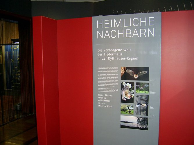 Fledermausabend im Regionalmuseum (Foto: Regionalmusem Bad Frankenhausen) Fledermausabend im Regionalmuseum (Foto: Regionalmusem Bad Frankenhausen)