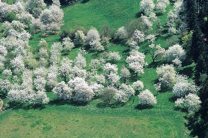 Neue Kelterei in Donndorf (Foto: Thomas Stephan)