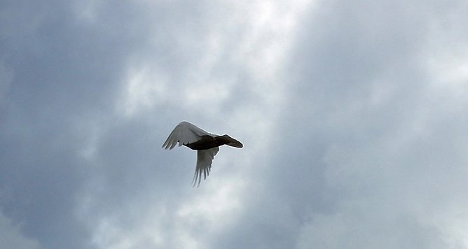 Buntes Familienfest (Foto: Karl-Heinz Herrmann)
