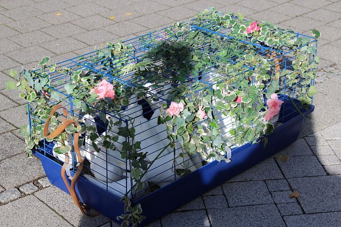 Abschluss mit &ouml;kumenischem Gottesdienst (Foto: Karl-Heinz Herrmann)