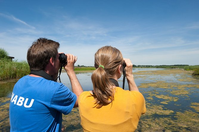NABU l&auml;dt zum Birdwatch 2015 nach Strau&szlig;furt (Foto: NABU/Guido Rottmann)