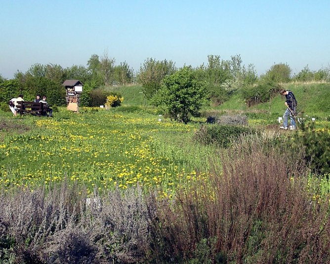 Natur-und Kräutergarten Artern (Foto: Klaus Henze) Natur-und Kräutergarten Artern (Foto: Klaus Henze)