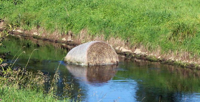 Erspart die Biotonne (Foto: Privat)