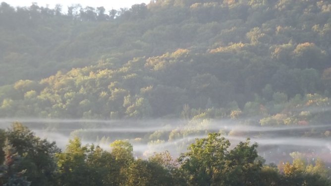Herbst in Sondershausen (Foto: Thomas Leipold) Herbst in Sondershausen (Foto: Thomas Leipold)