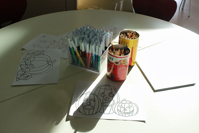 Neues aus der D&uuml;ne (Foto: Karl-Heinz Herrmann)