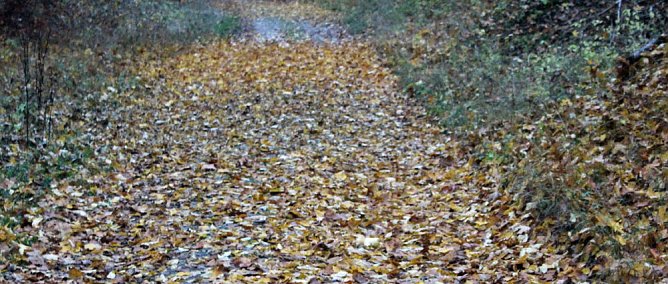 Radwanderer aufpassen! (Foto: Karl-Heinz Herrmann)