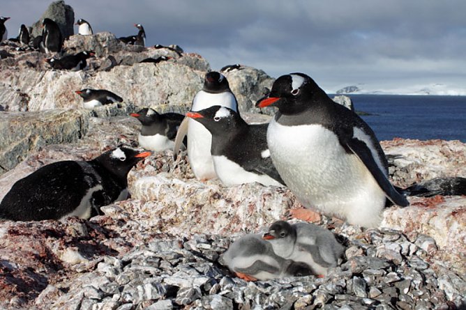 Klima wandelt Th&uuml;ringen (Foto: Rene Most)