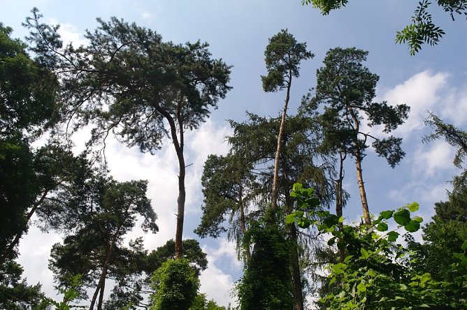 Wetter-Bild (Foto: Gernot Thelemann)