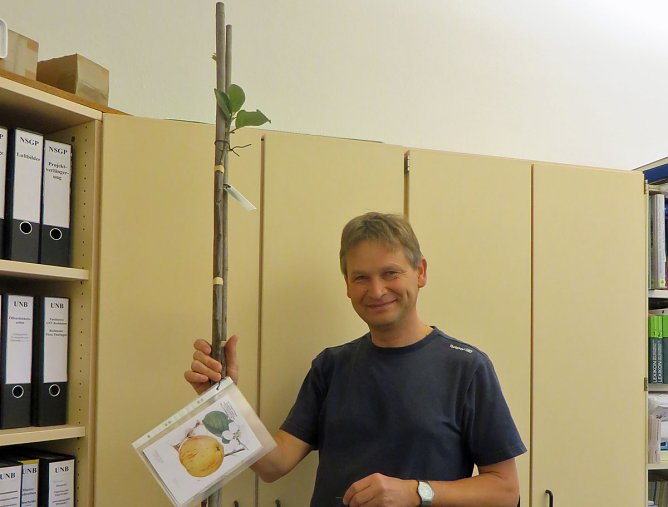 Selten gewordene Obstsorten gepflanzt (Foto: Hannlore Kutscha)