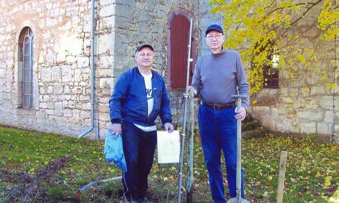 Selten gewordene Obstsorten gepflanzt (Foto: Hannlore Kutscha)