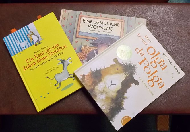 Marx las vor Kindern (Foto: Wahlkreisb&uuml;ro Dorothea Marx)