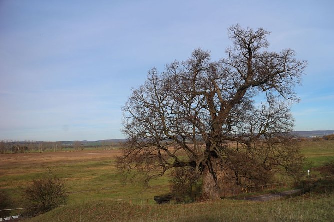 Wetterbild (Foto: Angelo Glashagel) Wetterbild (Foto: Angelo Glashagel)