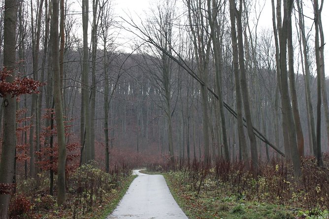Verkehrssicherungspflicht mit Augenma&szlig;? (Foto: Karl-Heinz Herrmann)