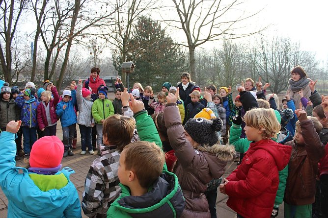 Sterne der Weihnacht (Foto: Karl-Heinz Herrmann) Sterne der Weihnacht (Foto: Karl-Heinz Herrmann)