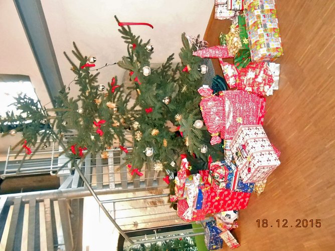 Aktion Wunschbaum auch nächstes Jahr (Foto: Düne) Aktion Wunschbaum auch nächstes Jahr (Foto: Düne)