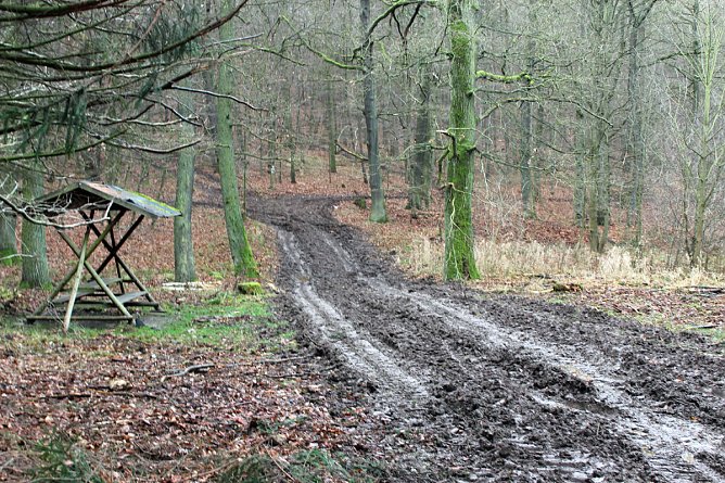 Br&uuml;ckental von Sondershausen meiden (Foto: Karl-Heinz Herrmann)