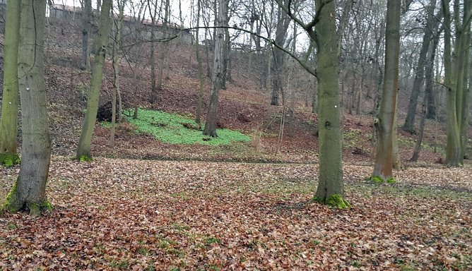 Nicht nur gr&uuml;ne Oasen (Foto: Privat)
