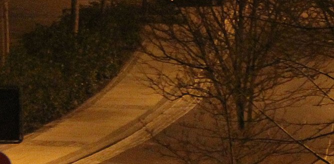 Schnee (Foto: Karl-Heinz Herrmann)