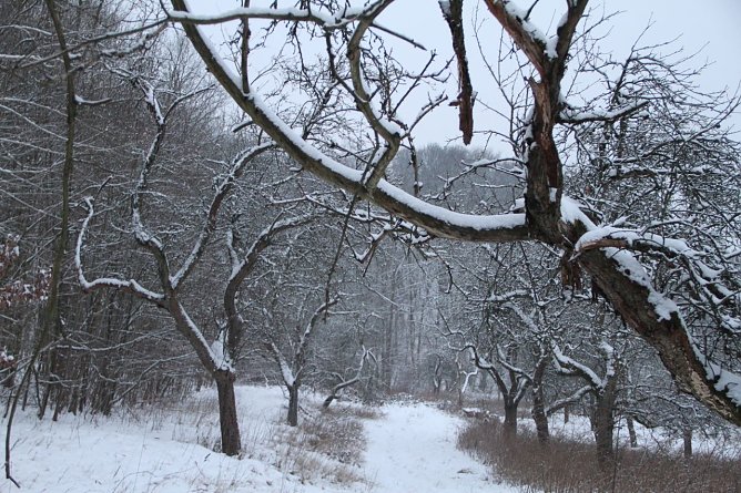 Wetterbild (Foto: Angelo Glashagel)