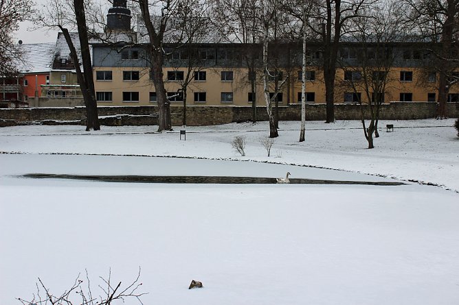 Gef&auml;hrlicher Leichtsinn auf Parkteich (Foto: Karl-Heinz Herrmann)
